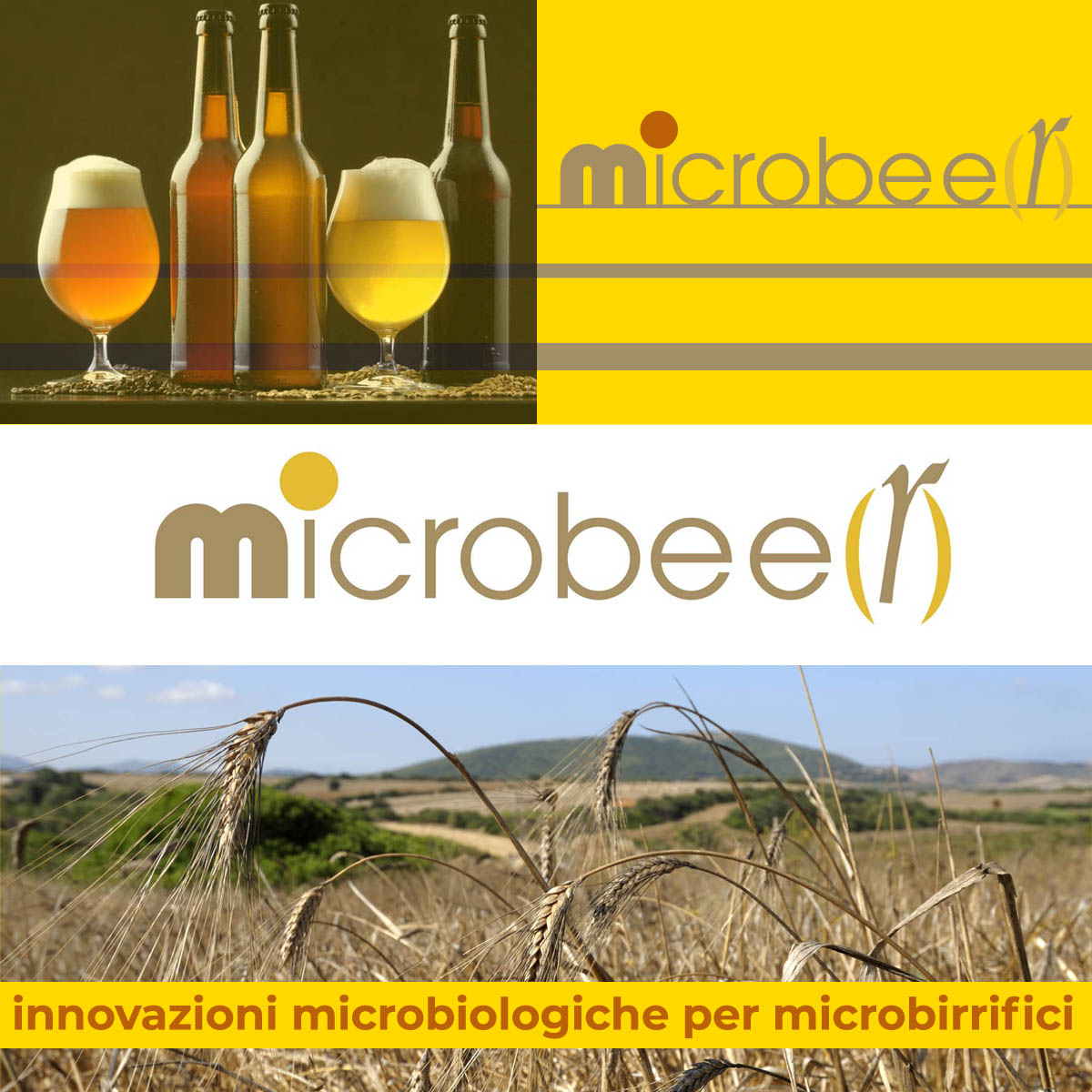 Logo design Sassari - Sardegna - Progetto logo Microbeer - Innovazioni microbiololgiche per microbirrifici - Franco Fadda Designer