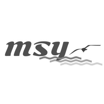 MSY - Loghi Sassari - Sardegna - Realizzazione logo MSY - Servizi Boat Rental - Progetto Franco Fadda Designer
